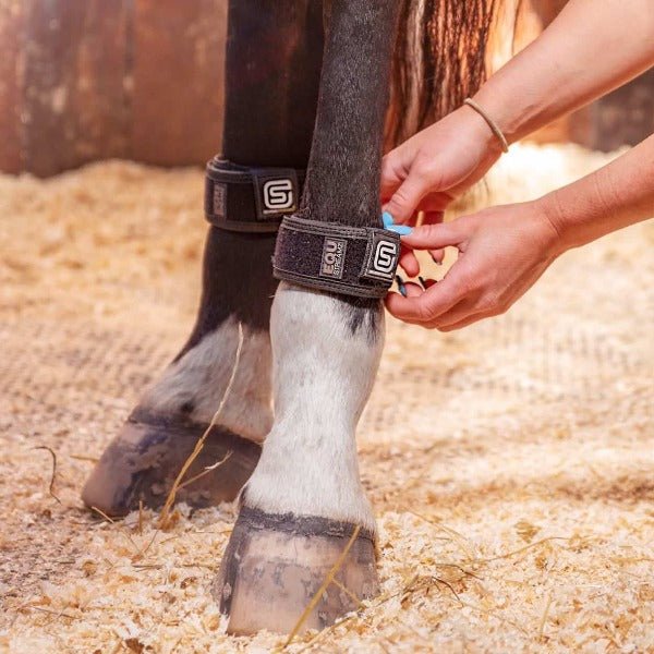 EQU StreamZ Magnetic Horse Bands (One pair) - Image 3