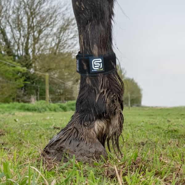 EQU StreamZ Magnetic Horse Bands (One pair) - Image 6